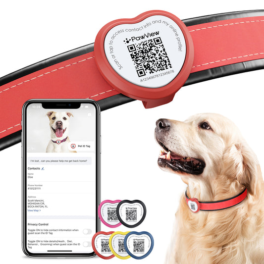 PawView Anti-Loss Smart Pet ID Tag with QR Code - Heart